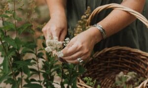 Foraging for Fair Fare at the Fair with Tauney