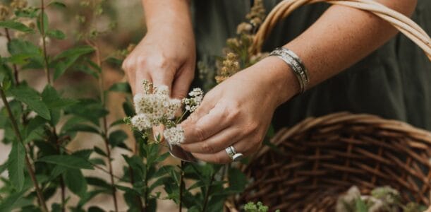 Foraging for Fair Fare at the Fair with Tauney